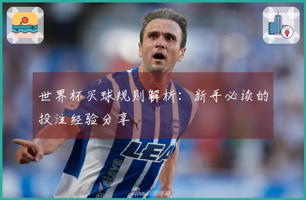 世界杯买球规则解析：新手必读的投注经验分享