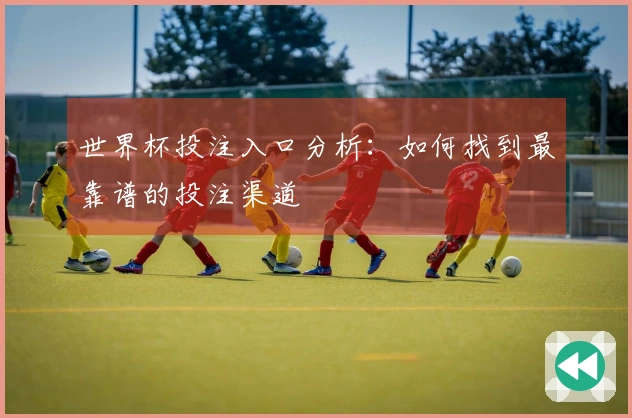 世界杯投注入口分析：如何找到最靠谱的投注渠道