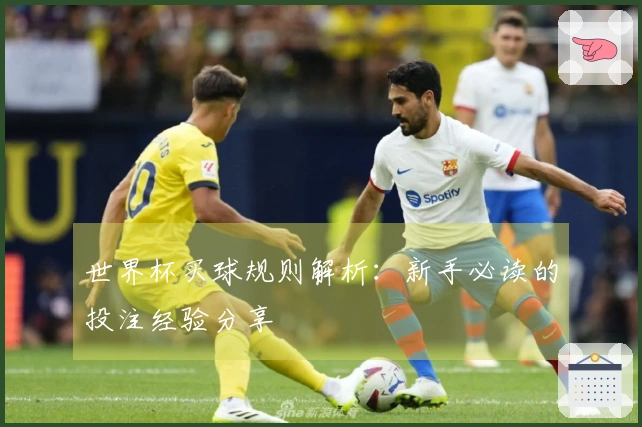世界杯买球规则解析：新手必读的投注经验分享