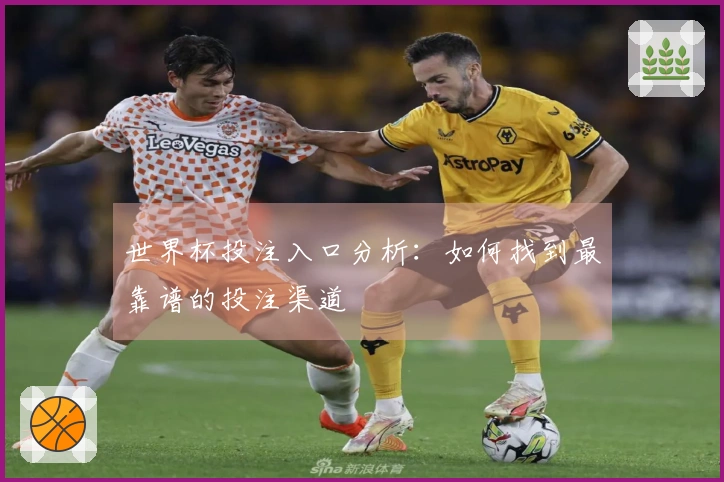 世界杯投注入口分析：如何找到最靠谱的投注渠道