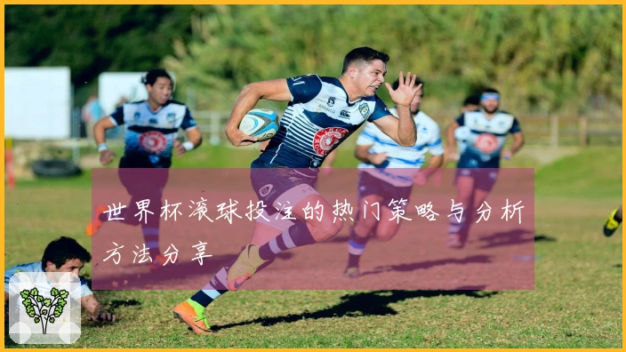 世界杯滚球投注的热门策略与分析方法分享